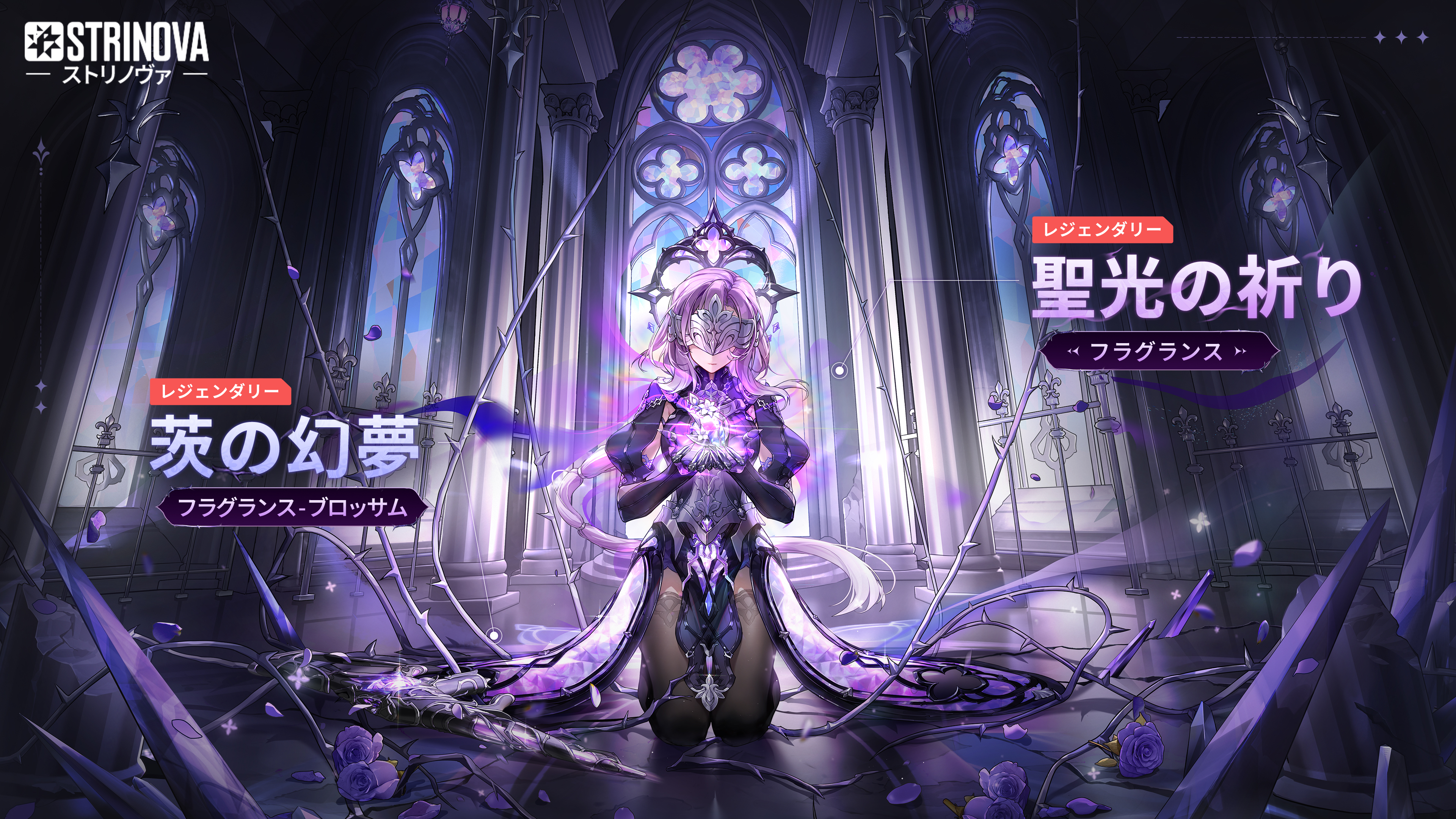 限定池UP-珐格兰丝红皮banner-JA.jpg