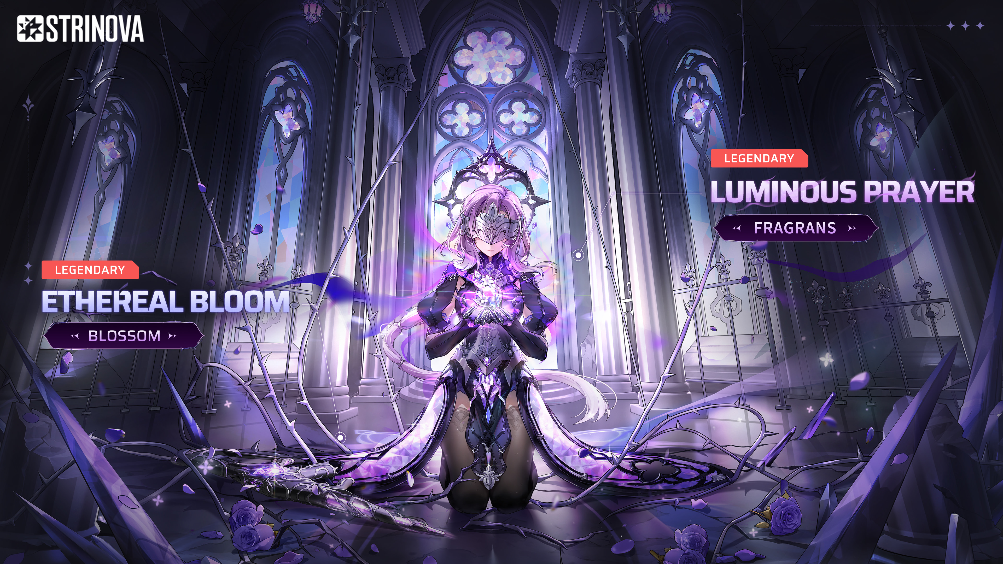 限定池UP-珐格兰丝红皮banner-EN (1).jpg